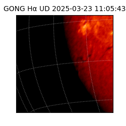 gong - 2025-03-23T11:05:43