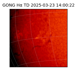 gong - 2025-03-23T14:00:22