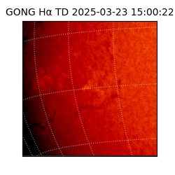 gong - 2025-03-23T15:00:22