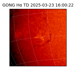 gong - 2025-03-23T16:00:22