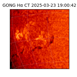 gong - 2025-03-23T19:00:42