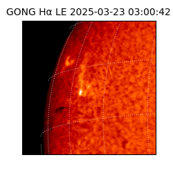 gong - 2025-03-23T03:00:42
