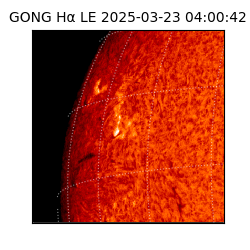 gong - 2025-03-23T04:00:42