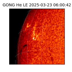 gong - 2025-03-23T06:00:42