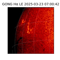 gong - 2025-03-23T07:00:42