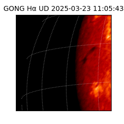 gong - 2025-03-23T11:05:43