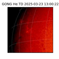 gong - 2025-03-23T13:00:22