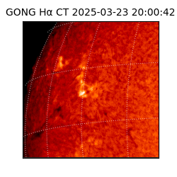 gong - 2025-03-23T20:00:42