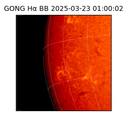 gong - 2025-03-23T01:00:02