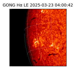 gong - 2025-03-23T04:00:42