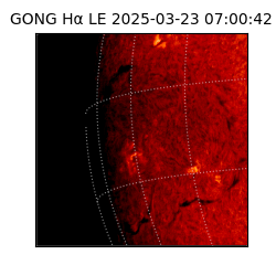 gong - 2025-03-23T07:00:42