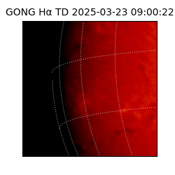 gong - 2025-03-23T09:00:22