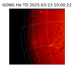 gong - 2025-03-23T10:00:22