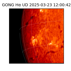 gong - 2025-03-23T12:00:42
