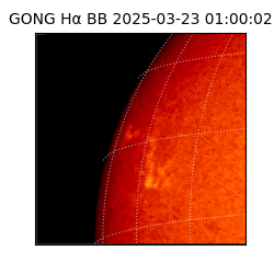 gong - 2025-03-23T01:00:02