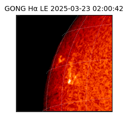 gong - 2025-03-23T02:00:42