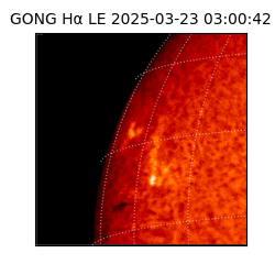 gong - 2025-03-23T03:00:42