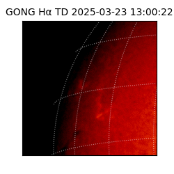 gong - 2025-03-23T13:00:22