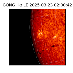 gong - 2025-03-23T02:00:42