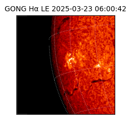gong - 2025-03-23T06:00:42