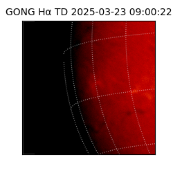 gong - 2025-03-23T09:00:22