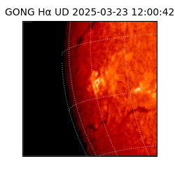 gong - 2025-03-23T12:00:42