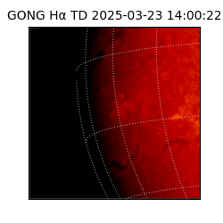 gong - 2025-03-23T14:00:22
