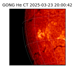 gong - 2025-03-23T20:00:42