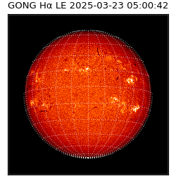 gong - 2025-03-23T05:00:42