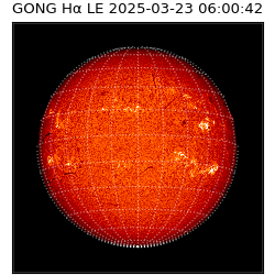 gong - 2025-03-23T06:00:42