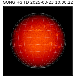 gong - 2025-03-23T10:00:22