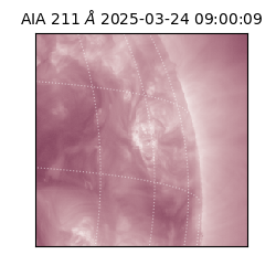 saia - 2025-03-24T09:00:09.626000