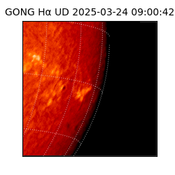 gong - 2025-03-24T09:00:42