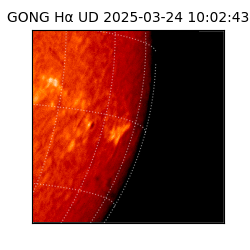 gong - 2025-03-24T10:02:43