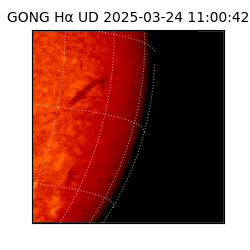 gong - 2025-03-24T11:00:42