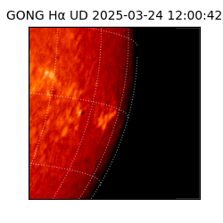 gong - 2025-03-24T12:00:42