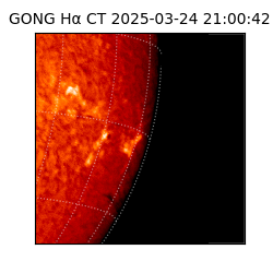 gong - 2025-03-24T21:00:42