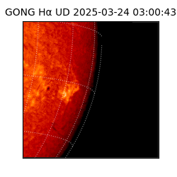gong - 2025-03-24T03:00:43
