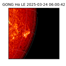 gong - 2025-03-24T06:00:42