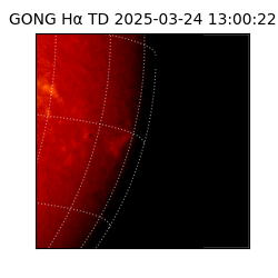 gong - 2025-03-24T13:00:22