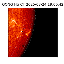 gong - 2025-03-24T19:00:42