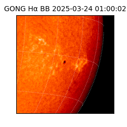 gong - 2025-03-24T01:00:02