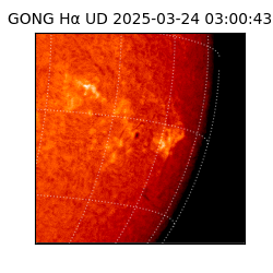 gong - 2025-03-24T03:00:43