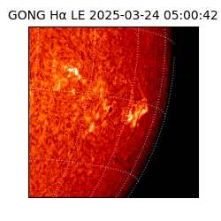 gong - 2025-03-24T05:00:42