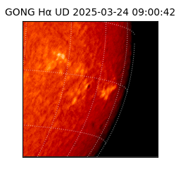 gong - 2025-03-24T09:00:42