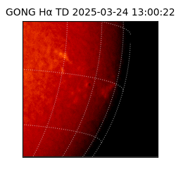 gong - 2025-03-24T13:00:22