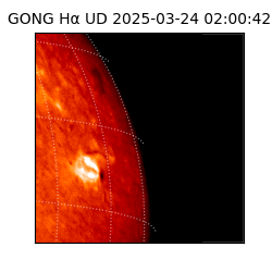 gong - 2025-03-24T02:00:42