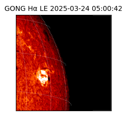 gong - 2025-03-24T05:00:42