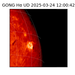 gong - 2025-03-24T12:00:42