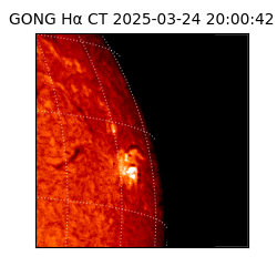 gong - 2025-03-24T20:00:42